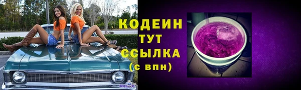 прущие грибы Аркадак