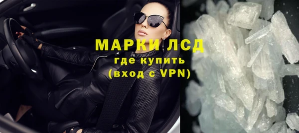 прущие грибы Аркадак