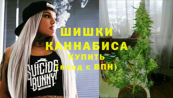 прущие грибы Аркадак