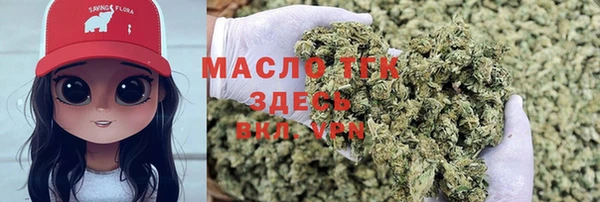 прущие грибы Аркадак