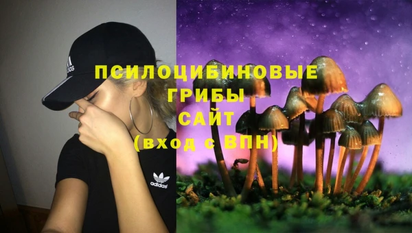 кокс Армянск
