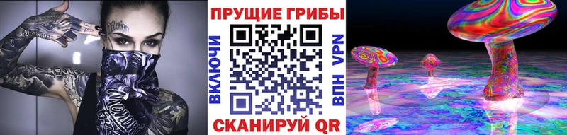 Купить  Верхняя Салда  Псилоцибиновые грибы прущие грибы 